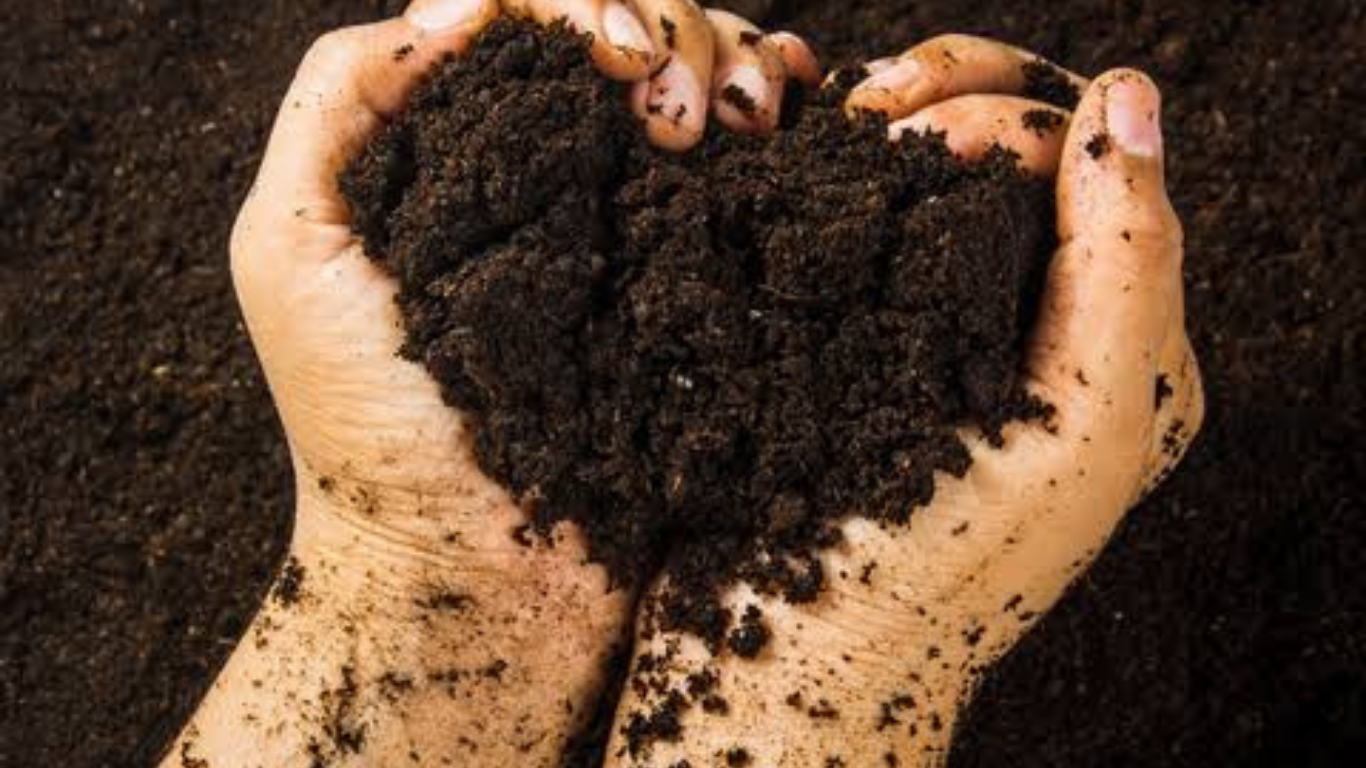 Domed building background